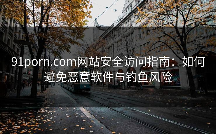 91porn.com网站安全访问指南:如何避免恶意软件与钓鱼风险 第1张 91porn.com网站安全访问指南:如何避免恶意软件与钓鱼风险 第1张