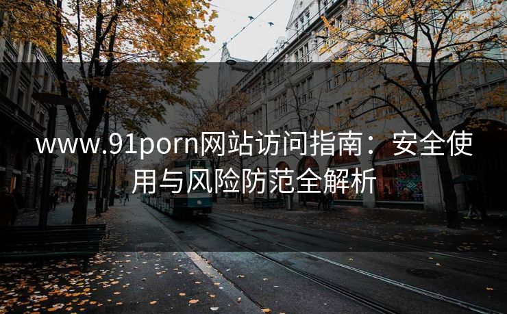 www.91porn网站访问指南：安全使用与风险防范全解析  第1张