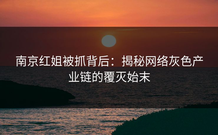 南京红姐被抓背后：揭秘网络灰色产业链的覆灭始末