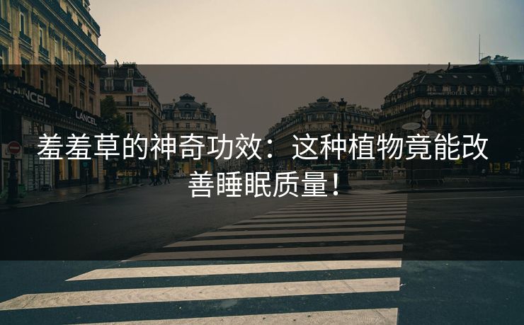 羞羞草的神奇功效：这种植物竟能改善睡眠质量！