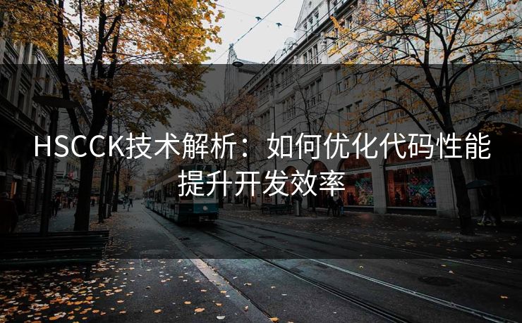 HSCCK技术解析：如何优化代码性能提升开发效率