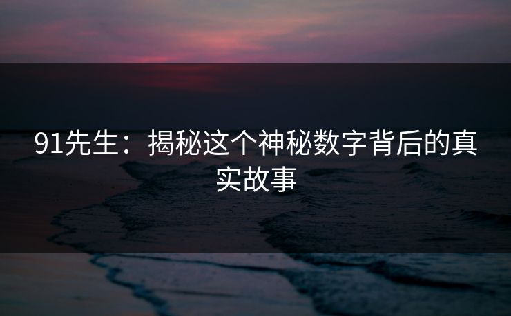91先生：揭秘这个神秘数字背后的真实故事