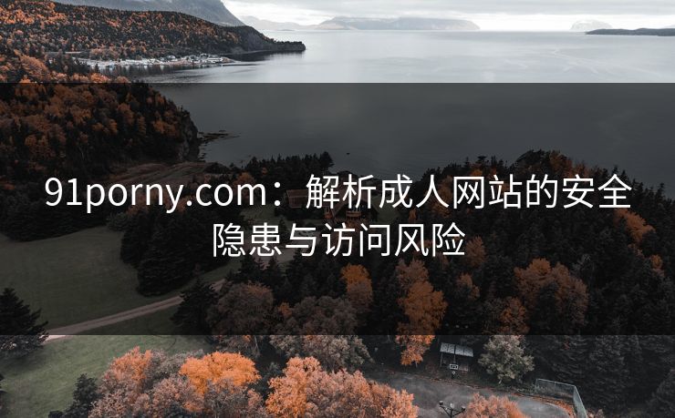 91porny.com：解析成人网站的安全隐患与访问风险  第1张