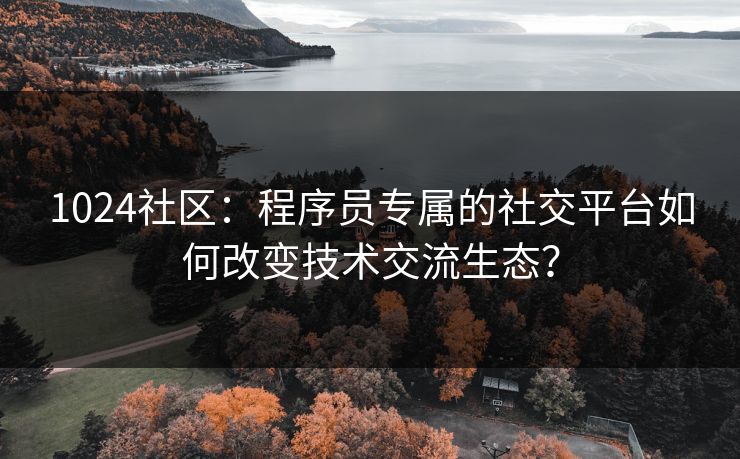 1024社区：程序员专属的社交平台如何改变技术交流生态？  第1张