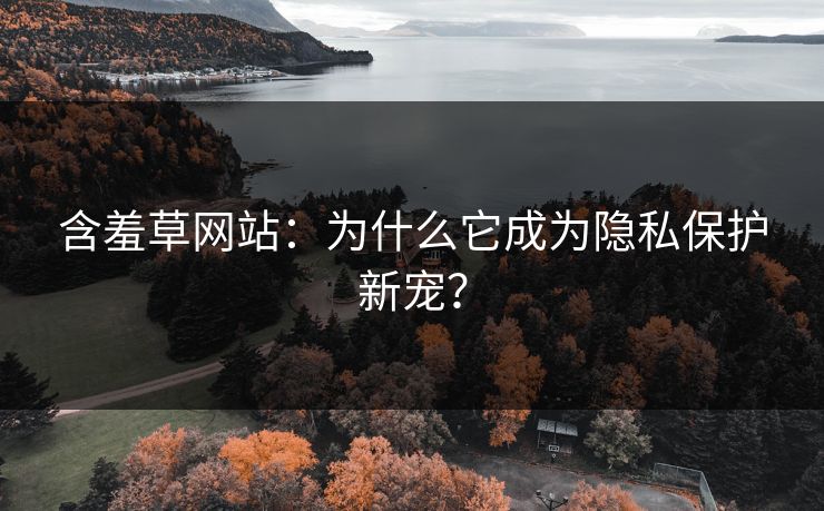 含羞草网站：为什么它成为隐私保护新宠？  第1张