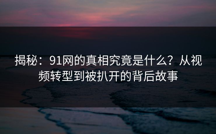 揭秘：91网的真相究竟是什么？从视频转型到被扒开的背后故事